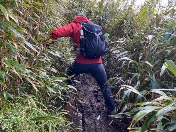 小觀音山群峰【當登山遇到惰性來襲時…】2686396