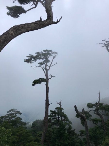 一日單攻第一座百岳獻給五嶽北大武山1009563