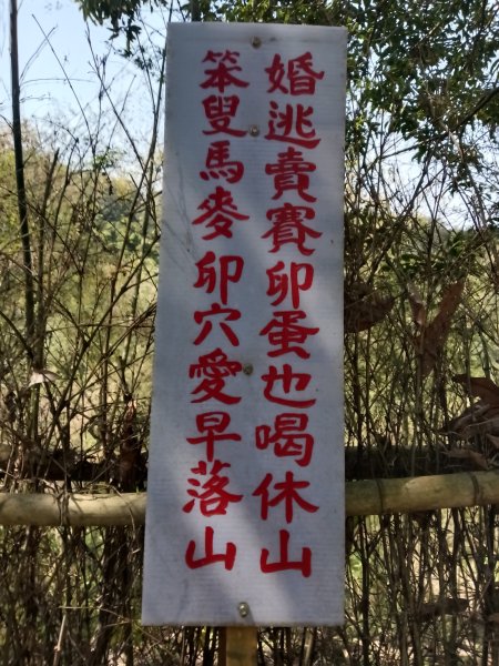 王公坑山血藤花2746270