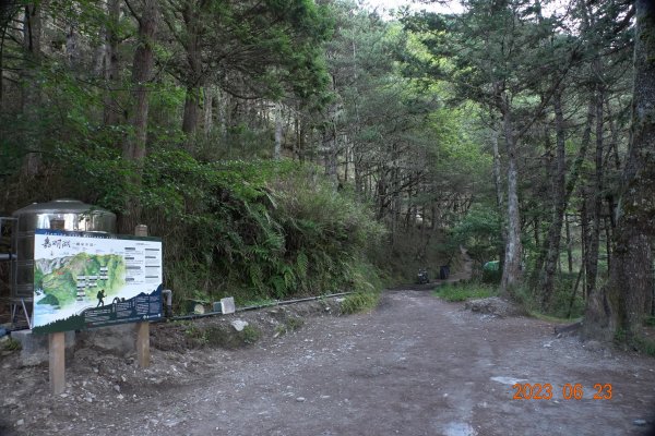 臺東 海瑞 向陽山2193874