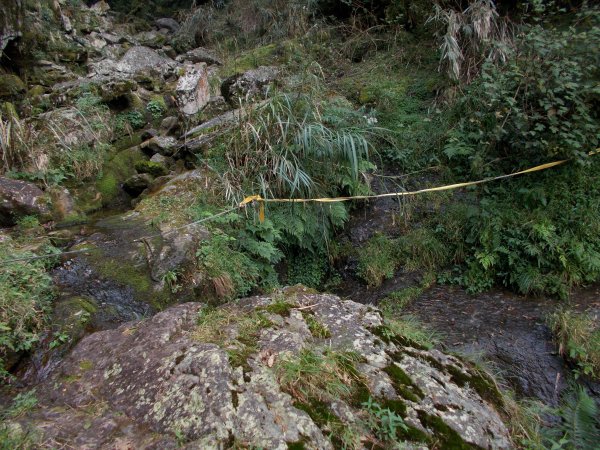 治茆山,治茆山南峰,巒山堂691186