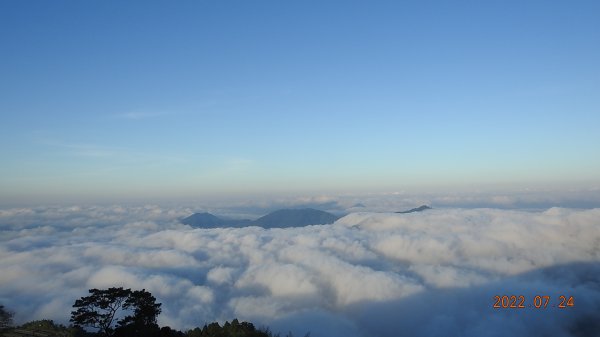 最高小百岳-大塔山2663M&阿里山二延平步道1775018