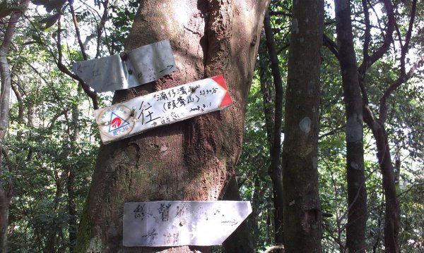 百吉林蔭步道&新溪洲山縱走201309131958384