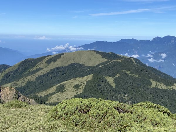 合歡北峰下小溪營地2891590