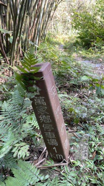 銀河洞越嶺貓空-新高麗坑山-銀獅縱走-猴山岳群峰+三條魚縱走2998288