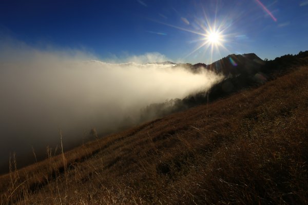 雪山‧甘木林山1250010