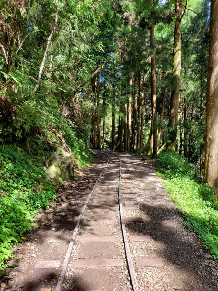 【嘉義 | 特富野】1069238