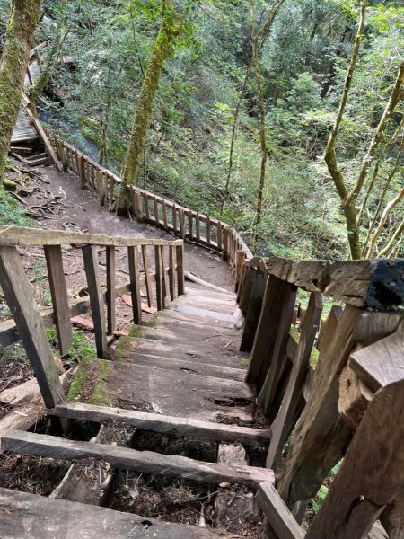 鎮西堡神木群⛰️亞當～夏娃～國王1719257