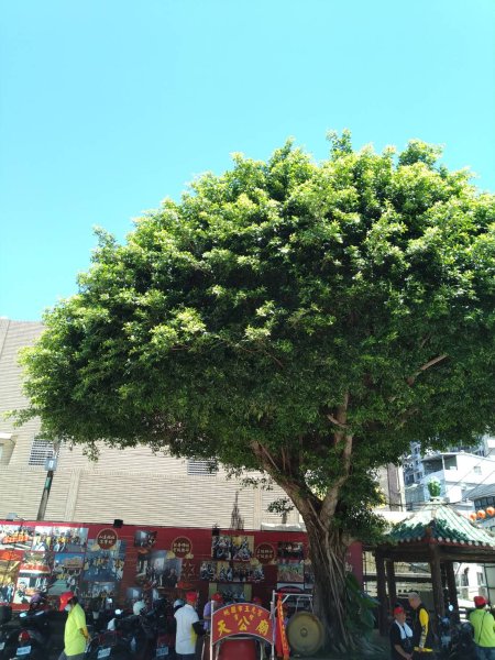 宵裡好風光－茄苳宵裡陽光單車之旅2817270