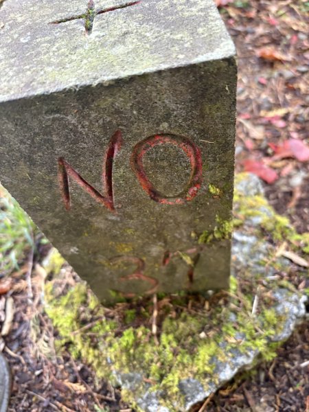 20251225塔山步道(大塔山)2970345