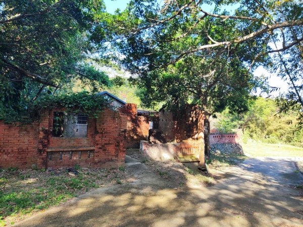 三義三通嶺-銅鑼杭菊（古道巡禮類環島小探險近25K）2957947