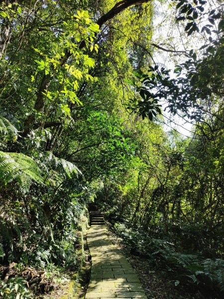 2023.12.08 土庫岳2695270