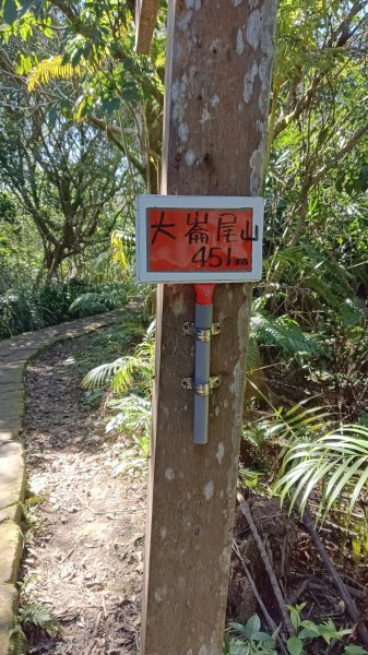 大崙頭尾山下大湖公園2114350