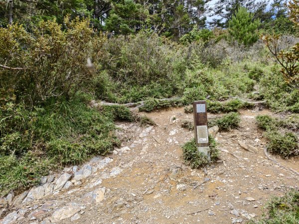 北一段(13/14)審馬陣山 2025_0906~132887545