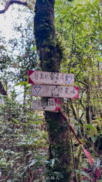 億年橋上志佳陽2960146