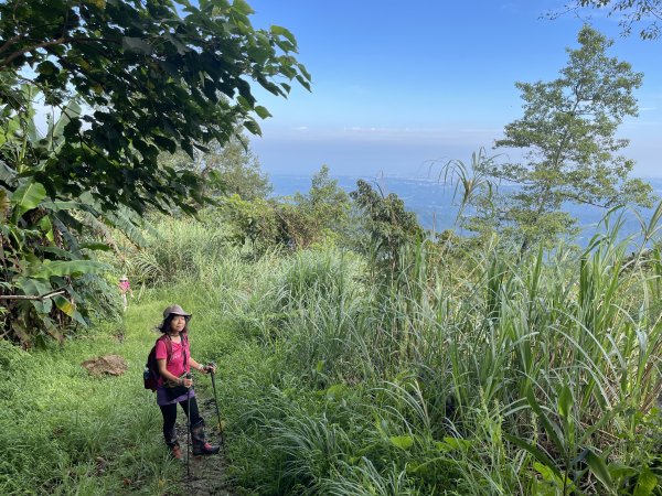 鵝公髻山-第一登山口來回-202408112573478