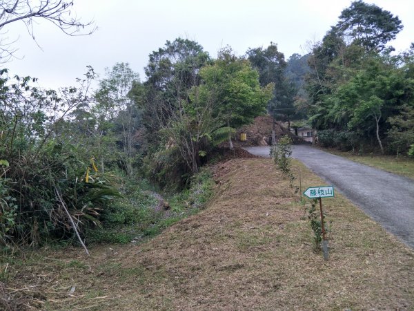 小百岳:藤枝山1323146