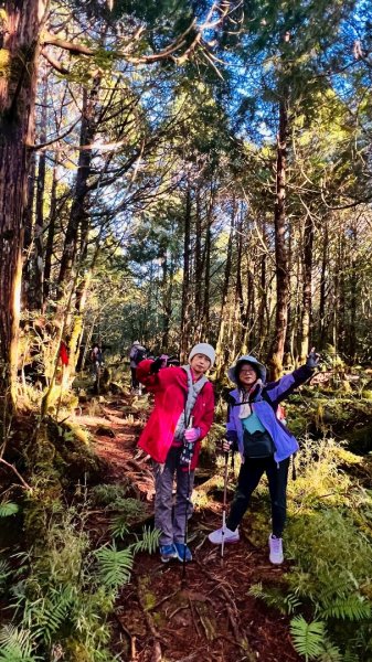 走入魔幻森林 探訪三星池與妹池2950194