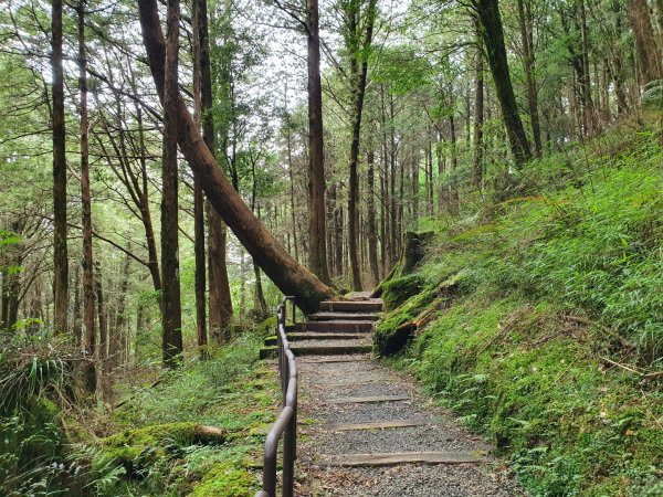 對高岳步道1053515