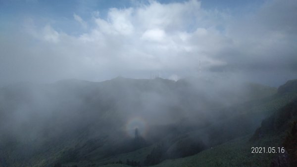 再見觀音圈 - 山頂變幻莫測，雲層帶雲霧飄渺之霧裡看花 & 賞蝶趣1390119