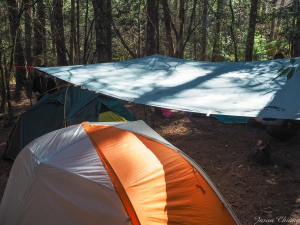 [百岳]屏風山野營歲月853221