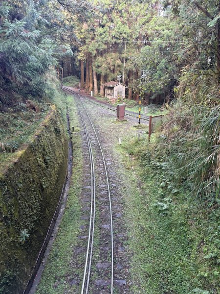 20251225塔山步道(大塔山)2970317