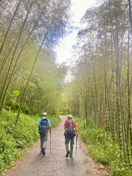 溪頭山、竹崙山、志騰山三山O型順撿內湖山  2024/5/312517727