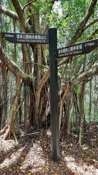 《台中》綠蔭夏蟬｜大肚環保公園登山步道O型202206261745194