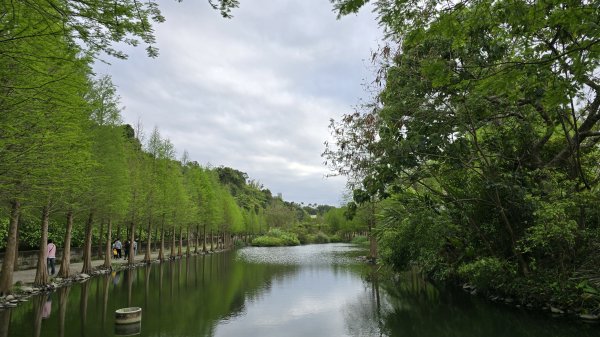 血藤秘境，步行30分鐘即可抵達，鳶山血藤大爆發，最佳賞花期只有7天，要去要快，鳶溪縱走2758588
