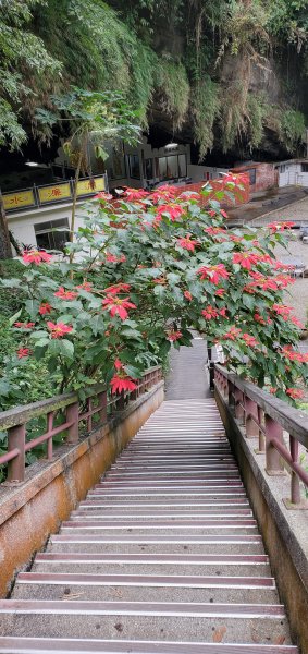 2020-11-29水濂洞(橋)步道1381118