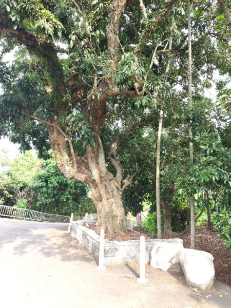 九九峰氦氣球樂園3055612