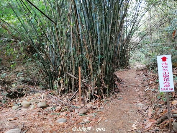 苗栗三義~拍照要遠離懸崖邊~小百岳火炎山1206287