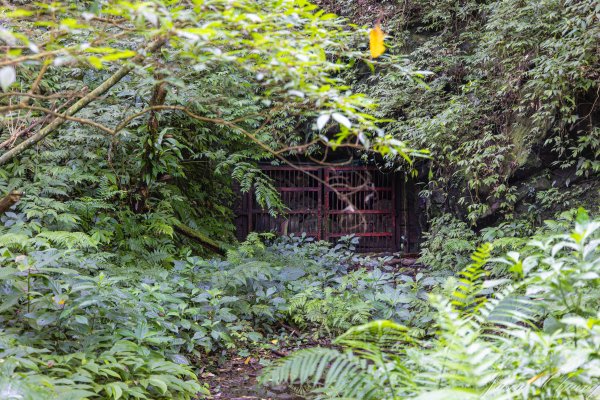 [新北]白雞山與裕峰煤礦遺址2891866