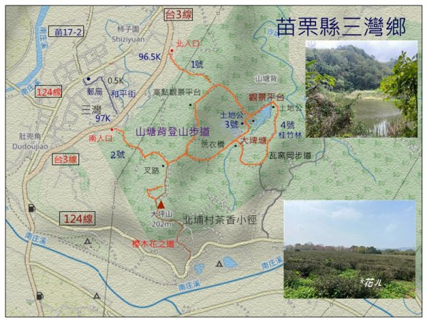 小北埔山、茶香小徑、櫻木花之道連走2759705