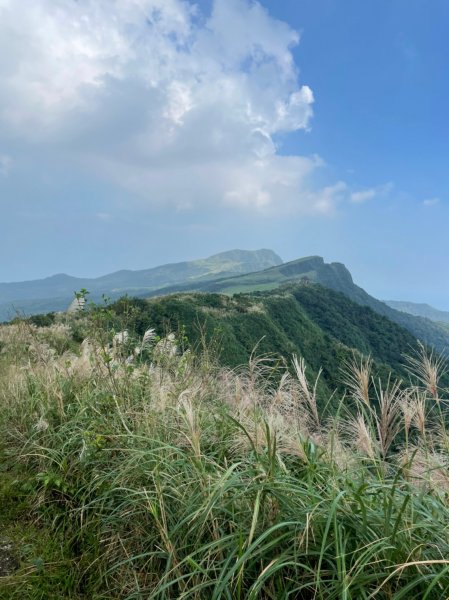 桃源谷步道(大溪線+草嶺古道線)-下大里天公廟1508094