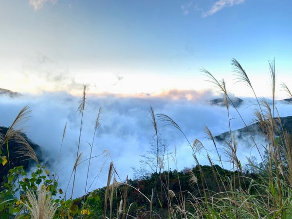 神秘李崠山的雲海、紅槭、古堡遺跡781245