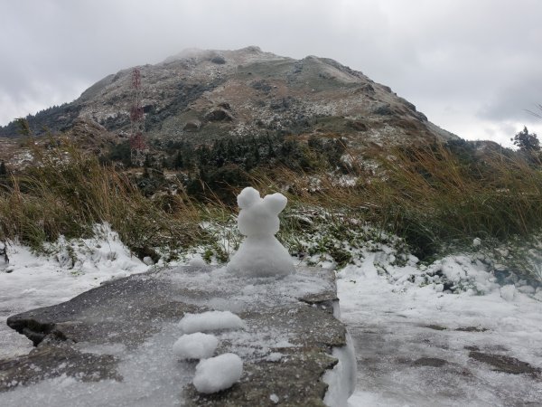 獨自勇敢。陽明山追雪成功1233776