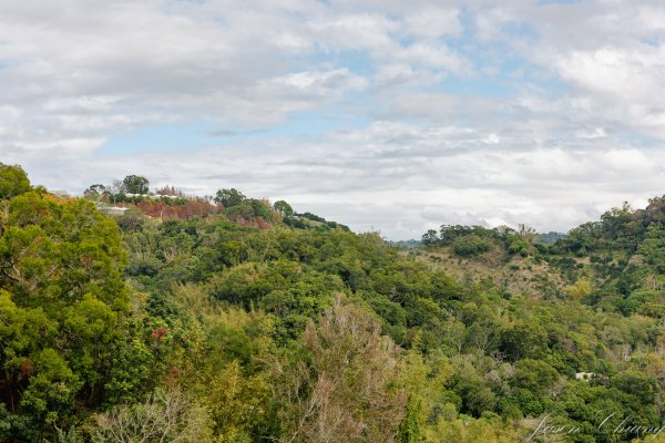 [台中]聚興山2703782