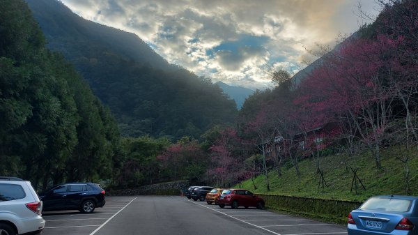 東八仙山 八仙山 O形縱走1582393