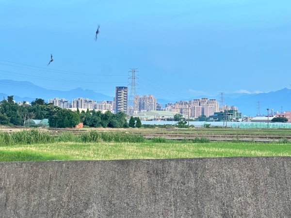 霄裡半日遊賞2895274