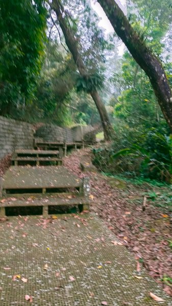 石硦林場、桶頭山O形3052334