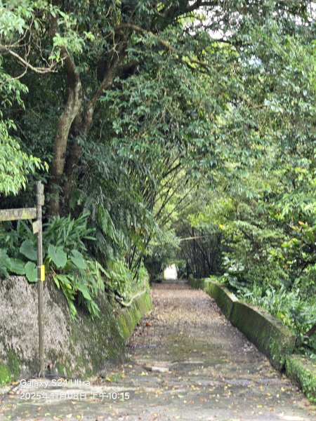 2025-11-08微笑山線：【五分山系】菁桐煤礦段2932721