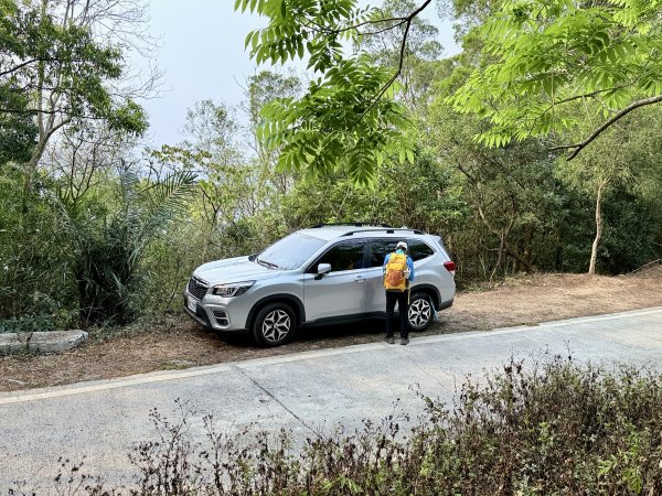 大漢林道登山趣(力里山.具馬奴山.崁頭窩山)  2026.3.283028030