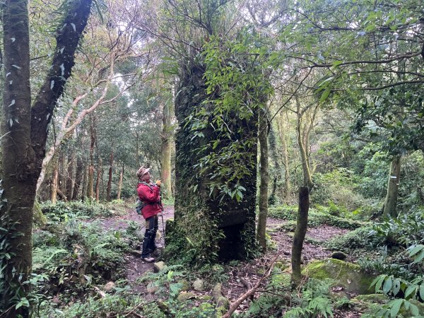 新北 三芝 小觀音山小O2723104