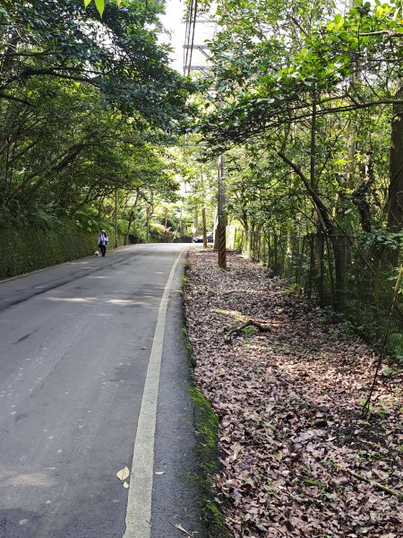 2026-0221造鎮-太極嶺-桐花公園-承天禪寺-永寧站3005811