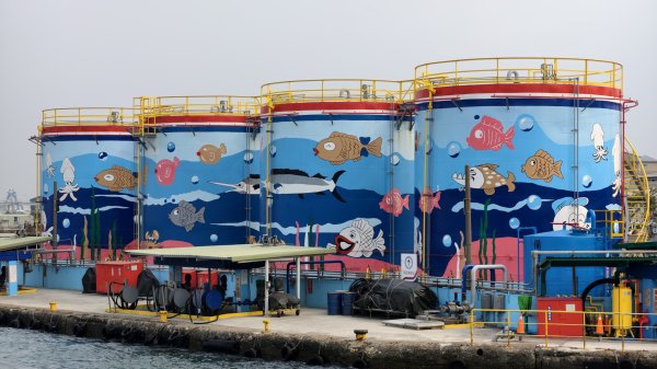 【台灣健行】Spring Island 2025 春島沙灘音樂祭、旗后山2754030