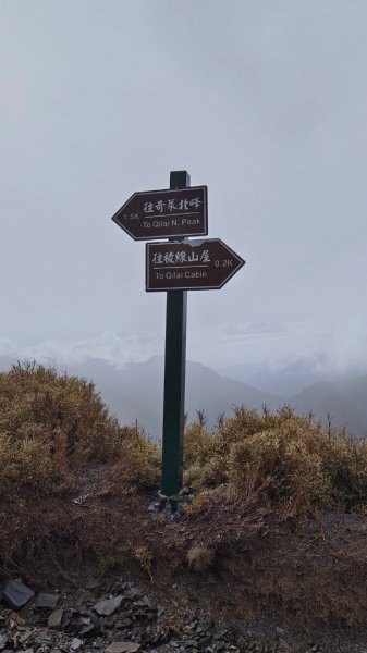 奇萊主山/北峰/小奇萊（有驚喜：杜鵑、觀音圈、北峰百萬大景1660470