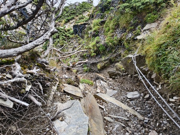 北一段(11/14)南湖北峰 2025_0906~132887366