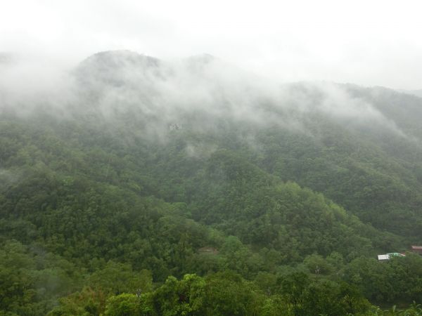 千島湖．八卦茶園．永安景觀步道162689