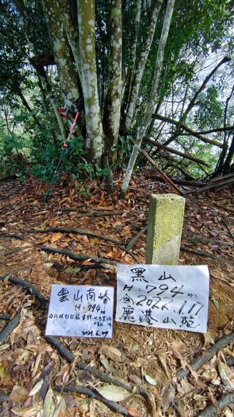 石苓湖山（頭嵙南峰）/黑山/黑山北峰/頭嵙山1585843